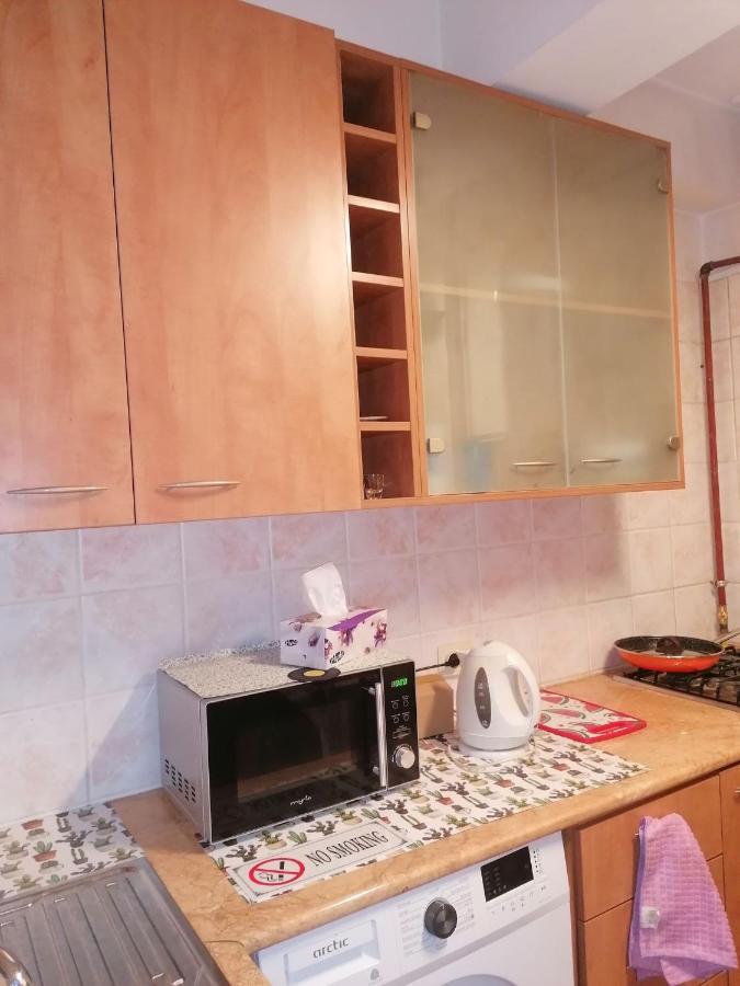 River View, In City Center Apartment ブカレスト エクステリア 写真