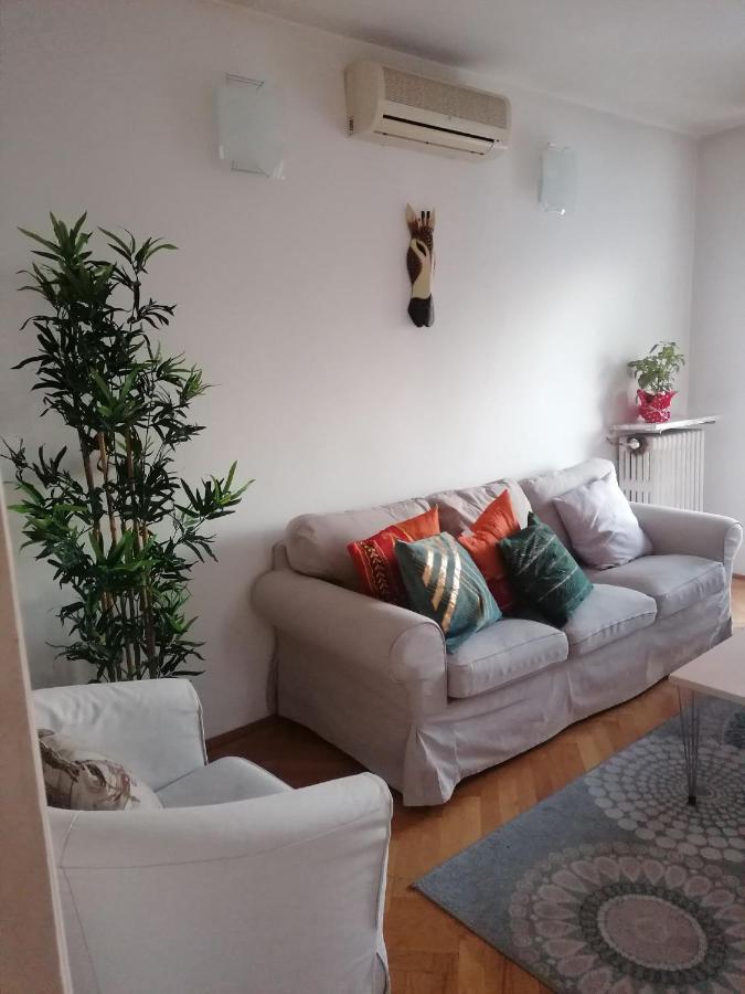 River View, In City Center Apartment ブカレスト エクステリア 写真